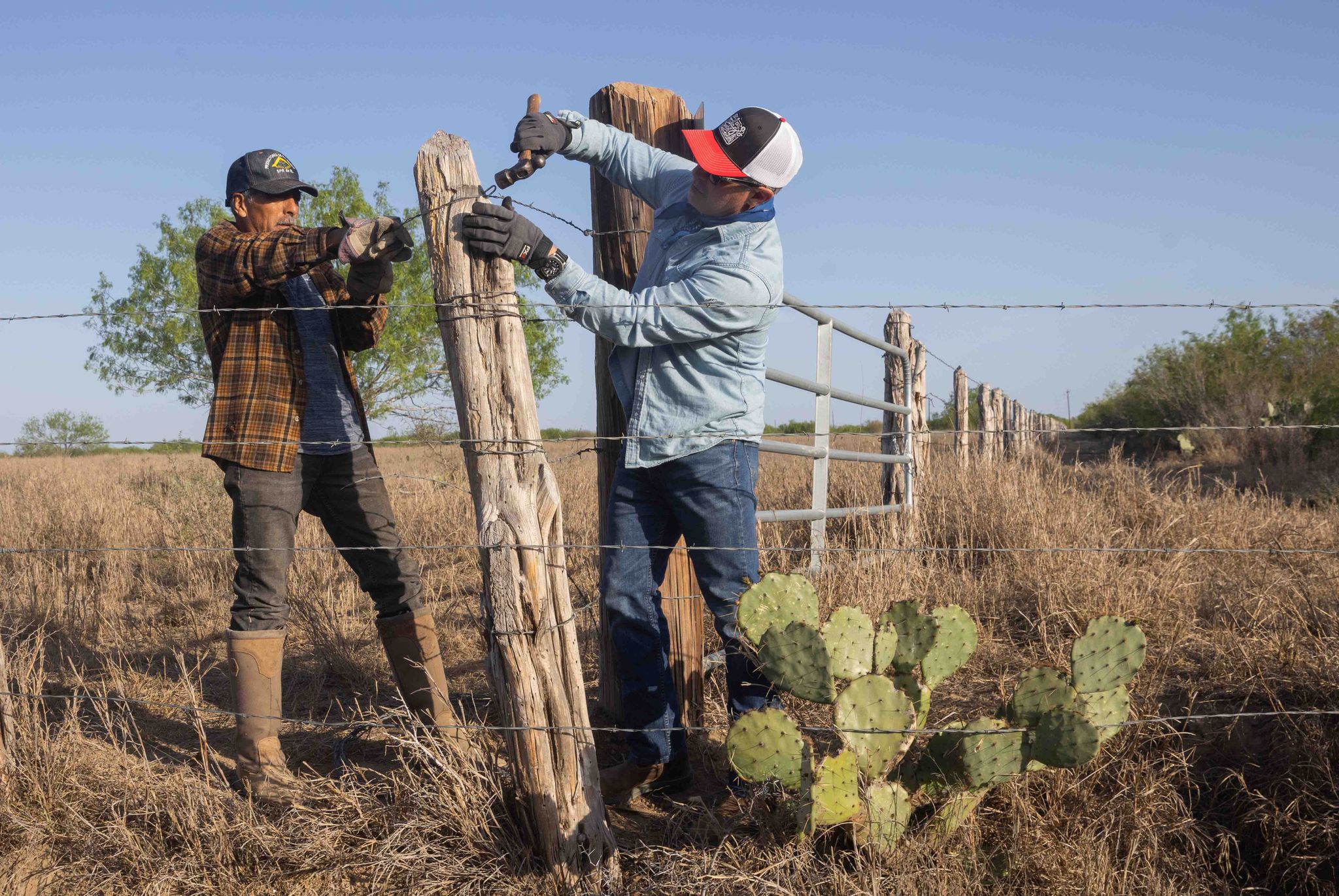 Texan Ranch People A city boy from Dallas learns the ways of Cowboys on a south Texas ranch