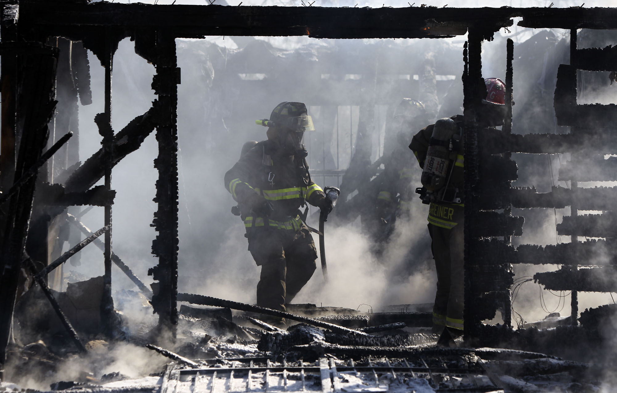 Puppies and mother dog perish in fire