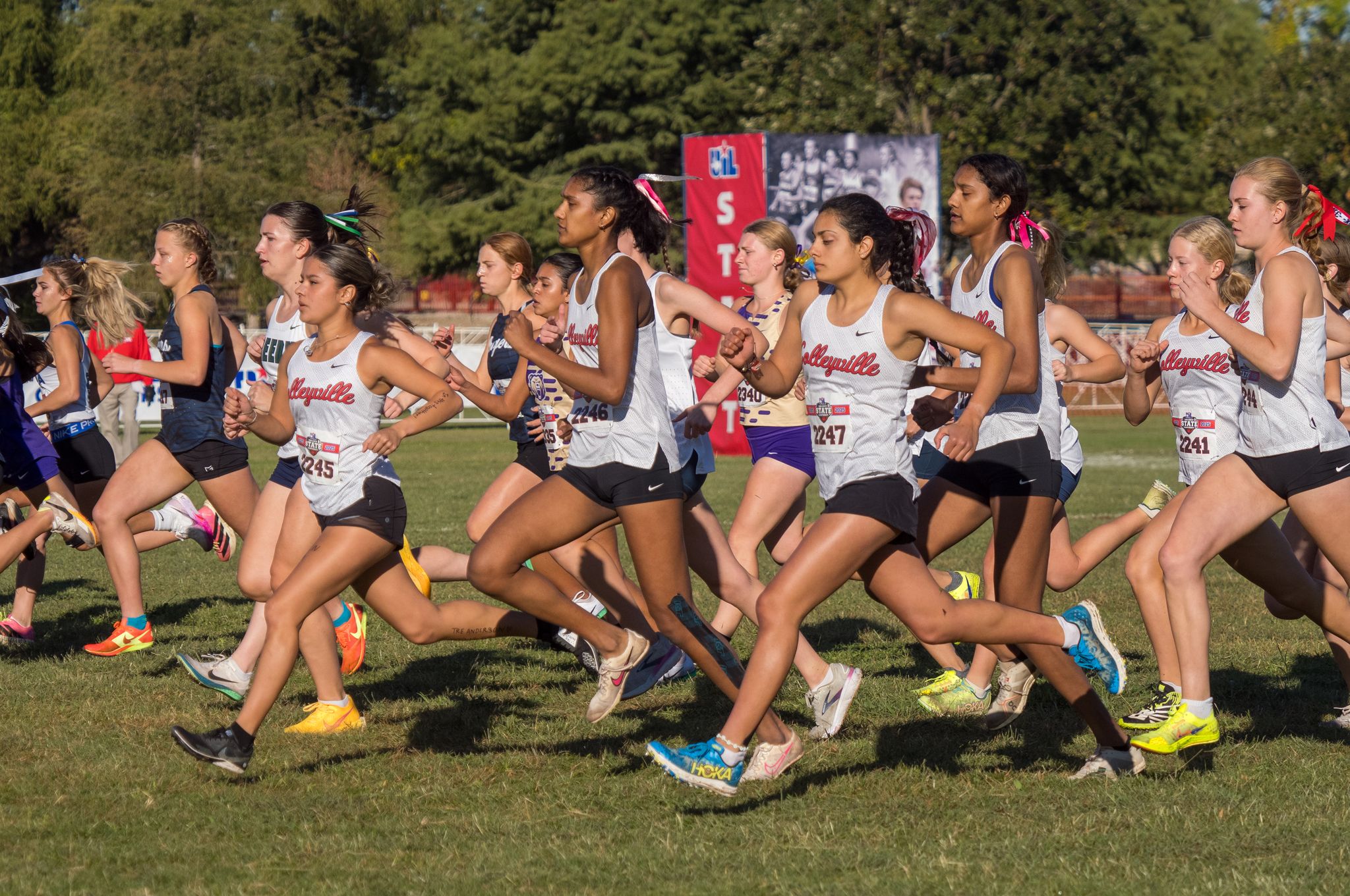 2025 UIL state cross country results for Dallas-area individuals, teams
