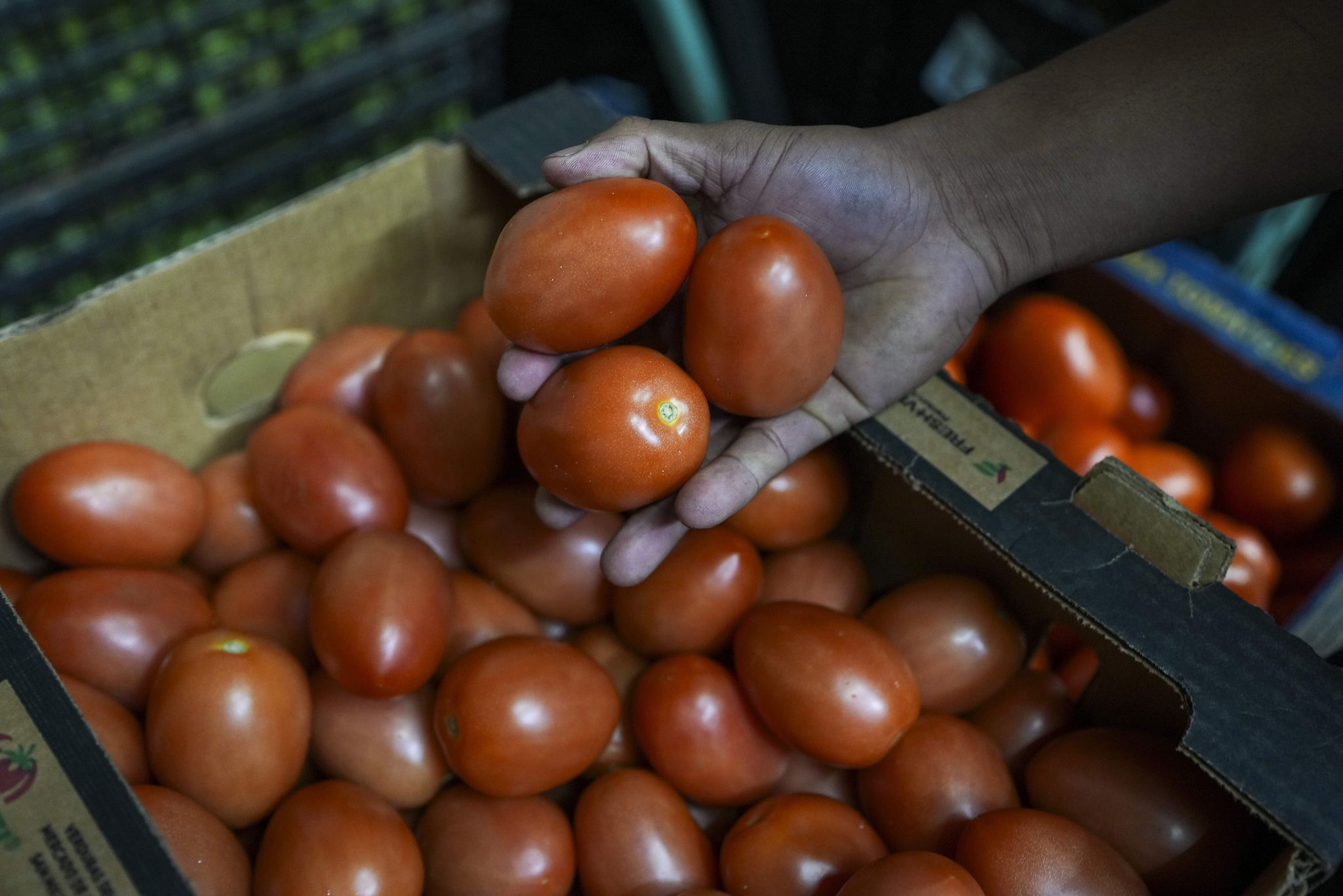 Trump rolls back tariffs on food, coffee as prices vex voters