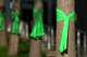 Green ribbons wrap trees before a vigil for those affected by the flooding in the Texas Hill Country at Fort Worth City Hall on Monday, July 14, 2025.