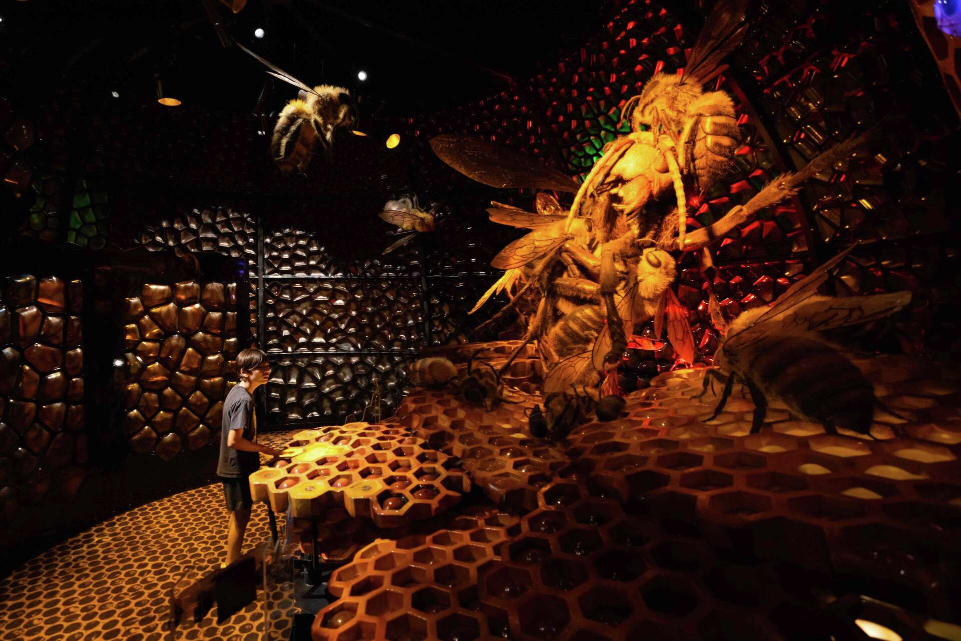 Bug Lab Sign Perot Museum bringing 'Bug Lab' exhibition to Dallas this summer