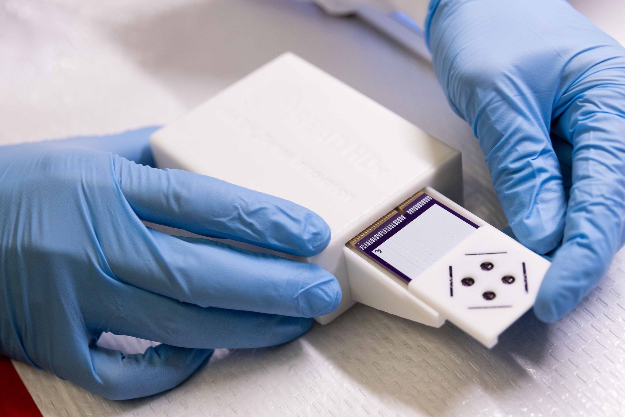 Detox Sensor UTD scientists create food sensor that detects unwanted bacteria, chemicals