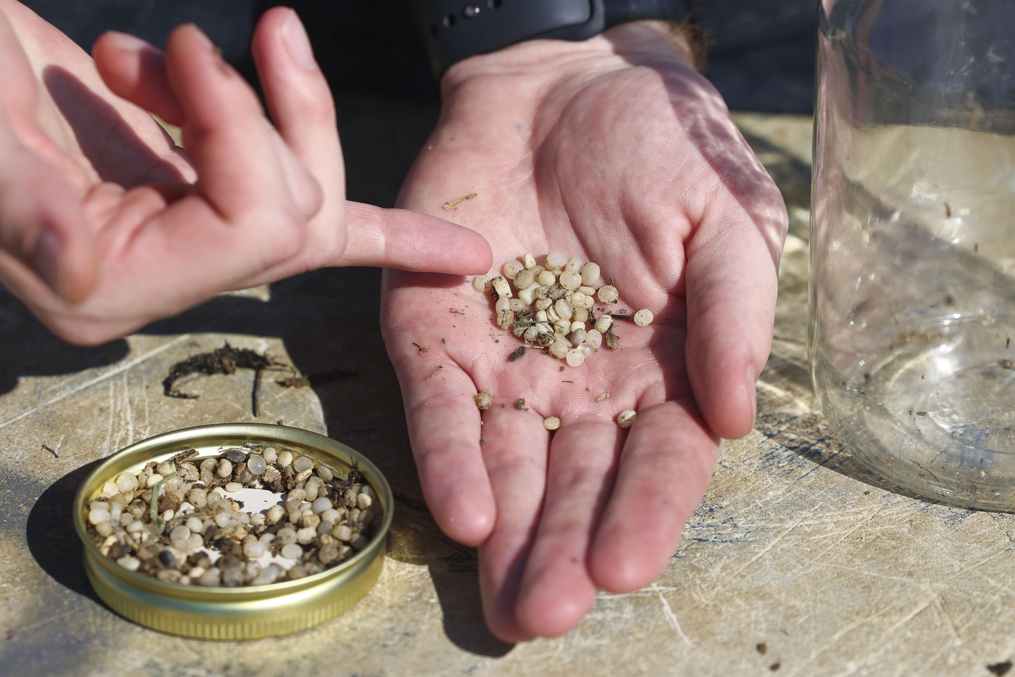 Nurtle Texas volunteers collect plastic pellets to combat pollution