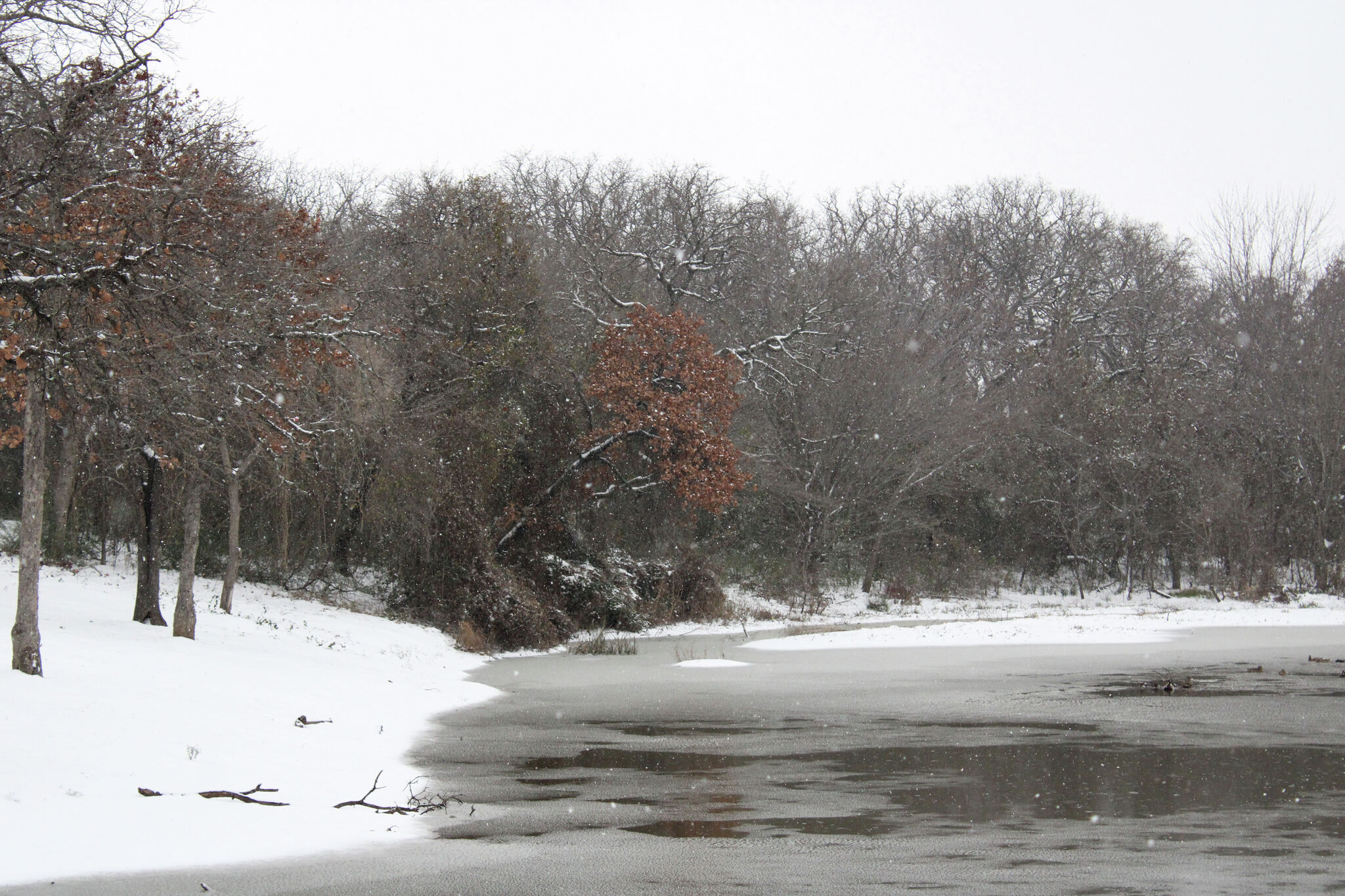 Winter storm deaths: 3 brothers die falling into icy North Texas pond