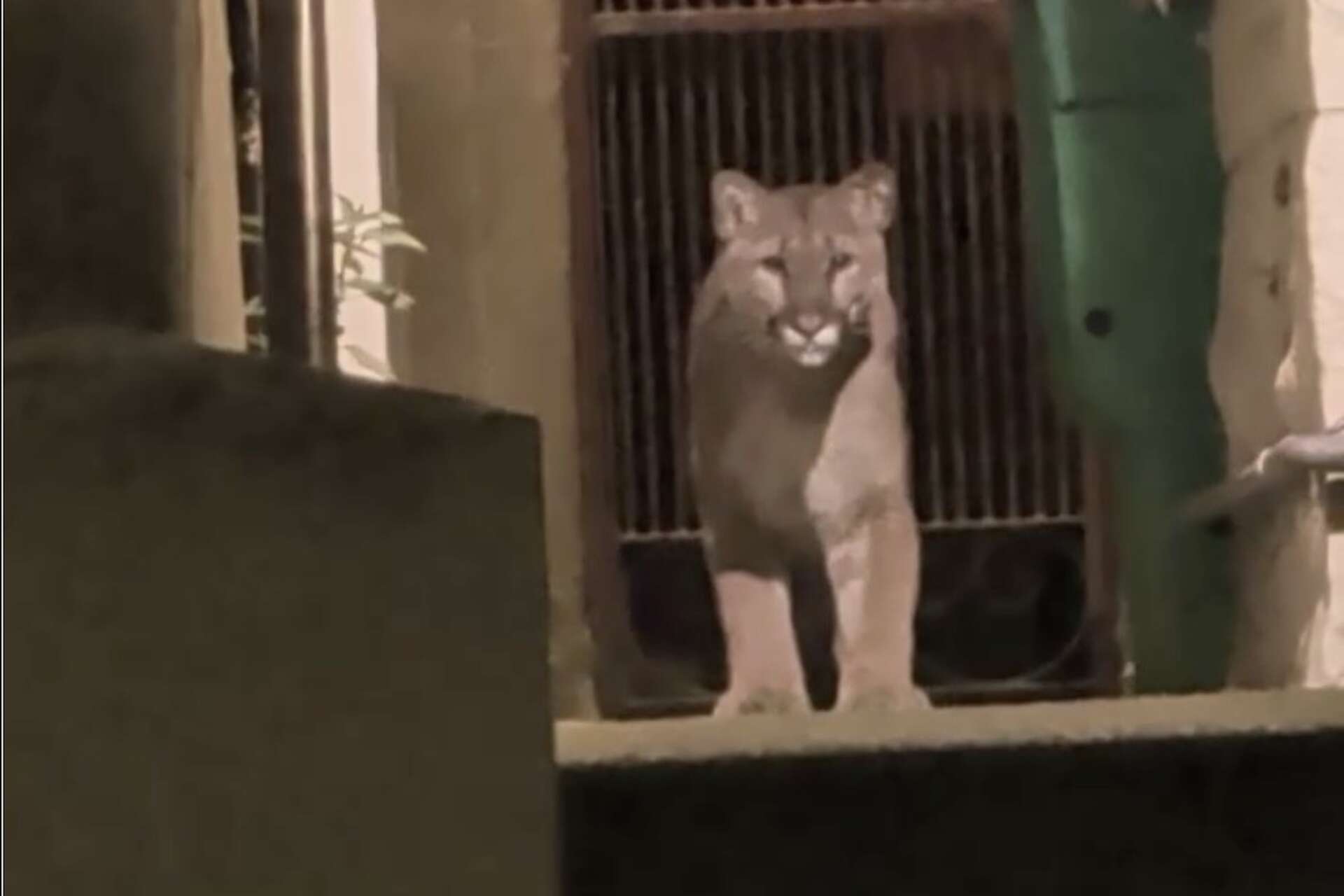 San Francisco Chronicle - Bay Area news, sports, tech, food