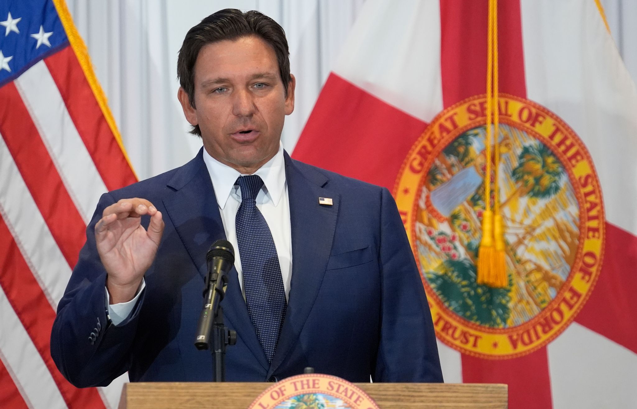Lawsuit challenges DeSantis' authority to call special session for ...