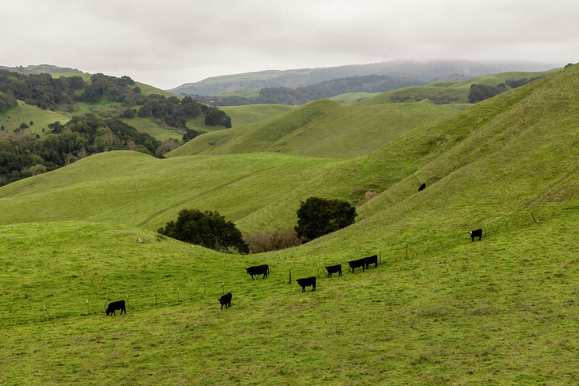 Major California ranch bought by land trust, halting plan for a quarry