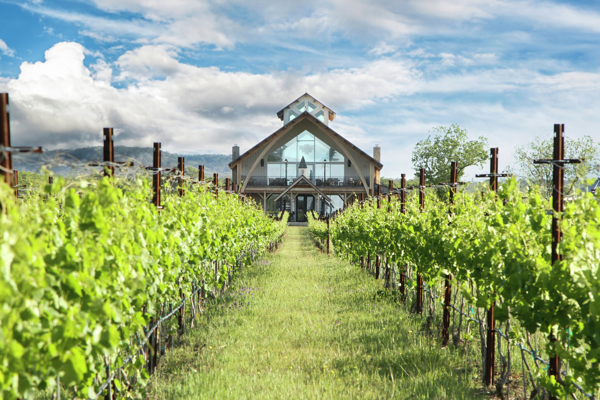 Wine Walk Texas wines recognized in California wine competition