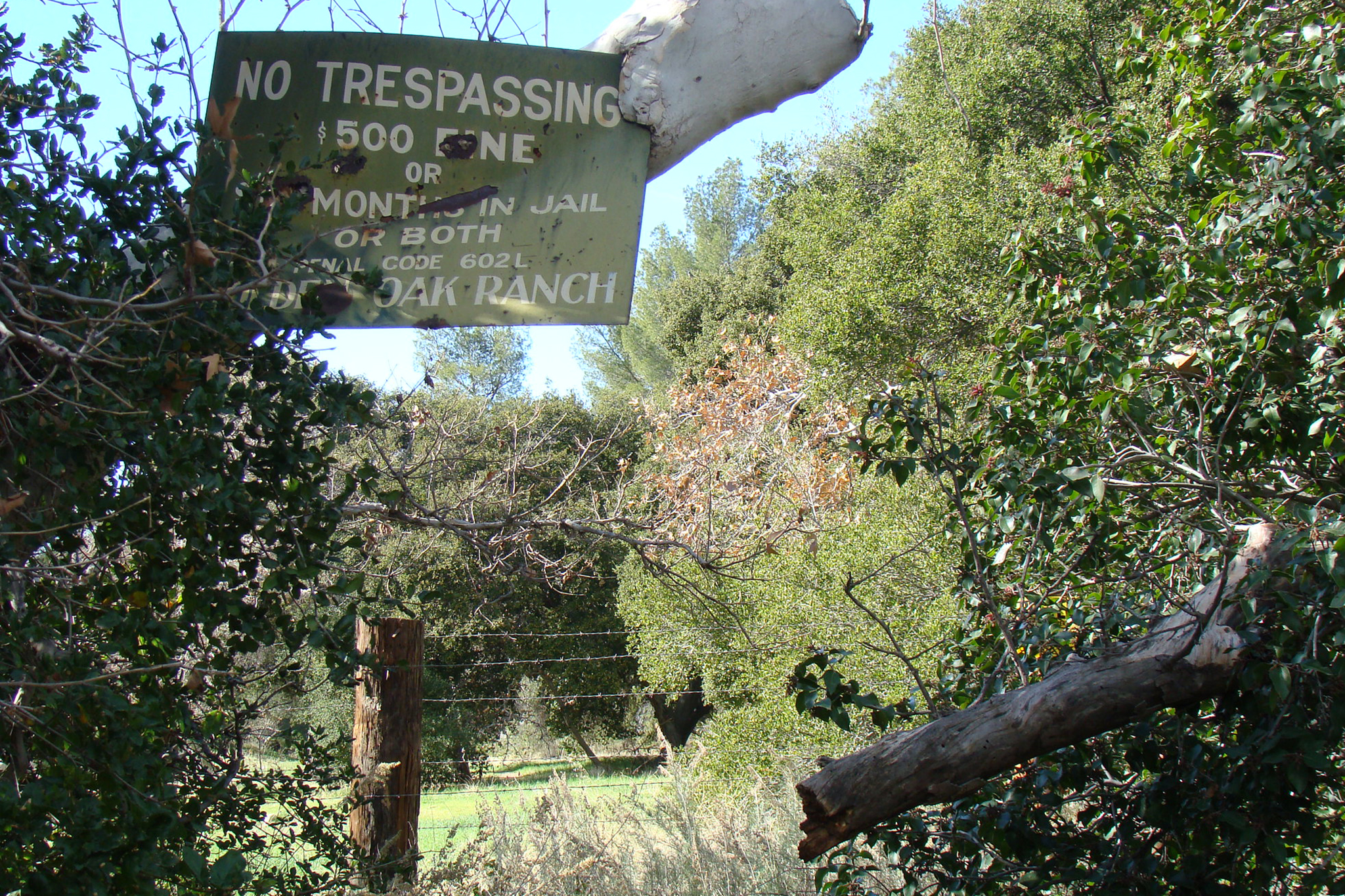The sprawling Calif. ranch that Disney would rather you not know about