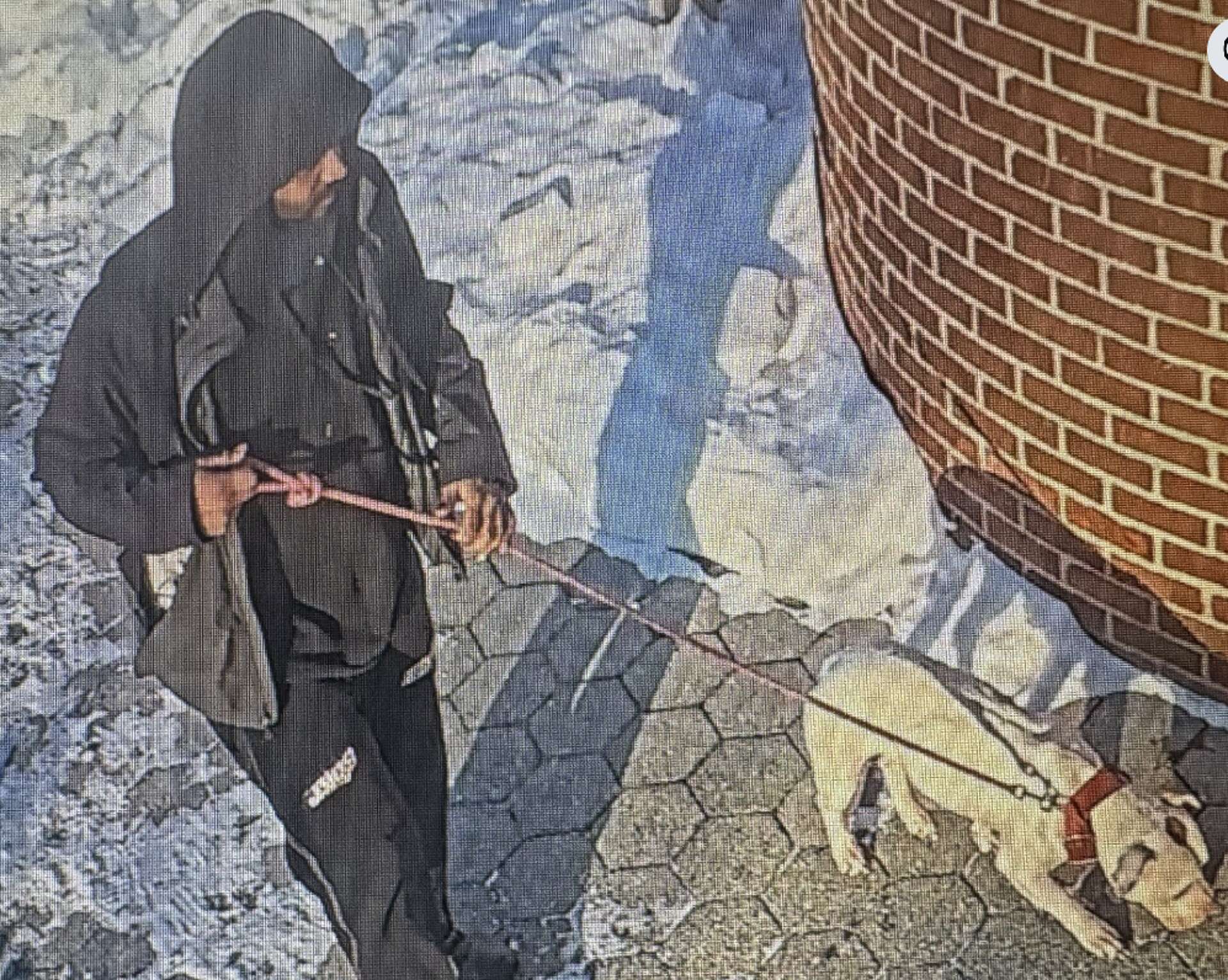New Haven shelter seeks public’s help after dog abandoned at facility