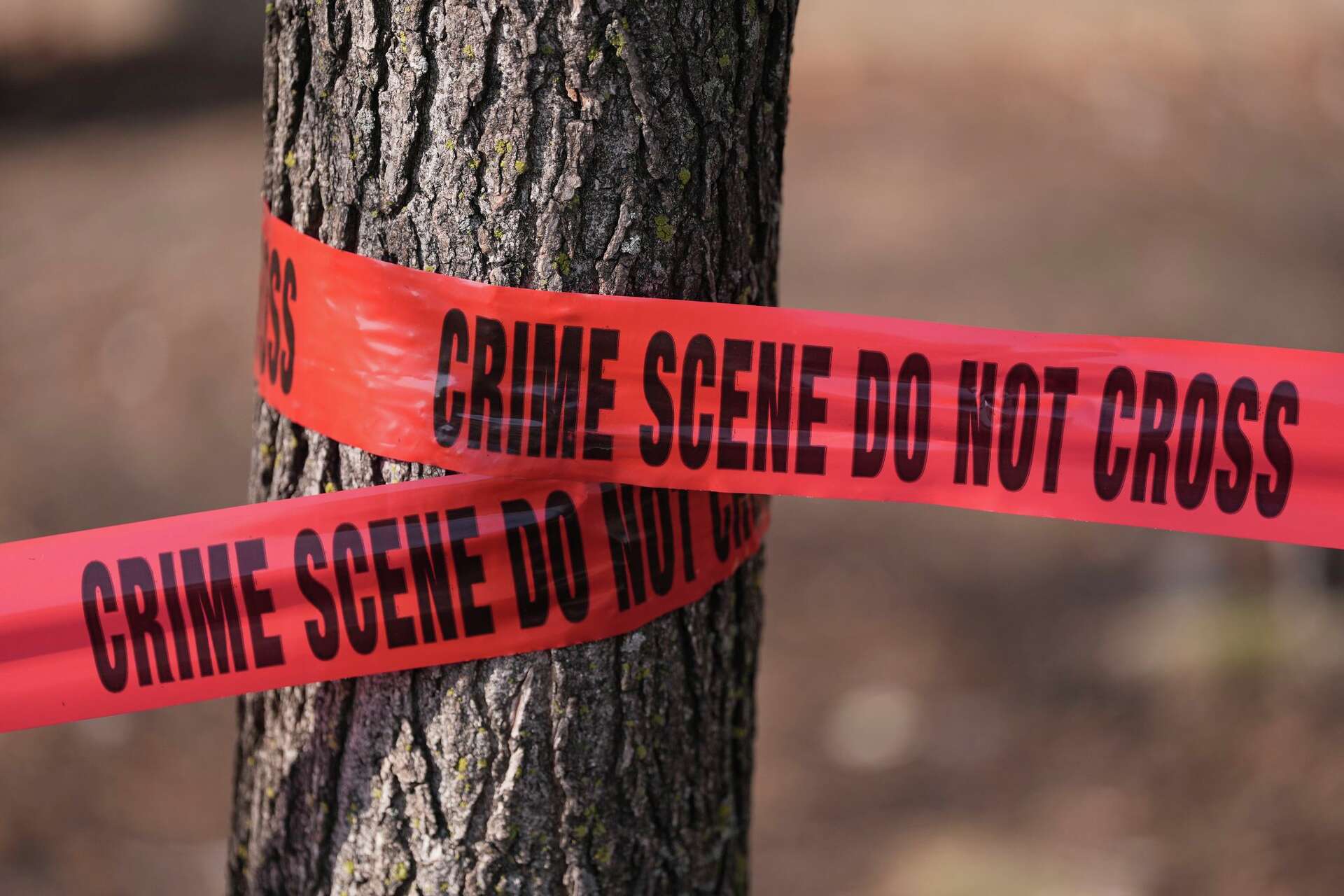 10 dead in shootings at school, home in NE British Columbia