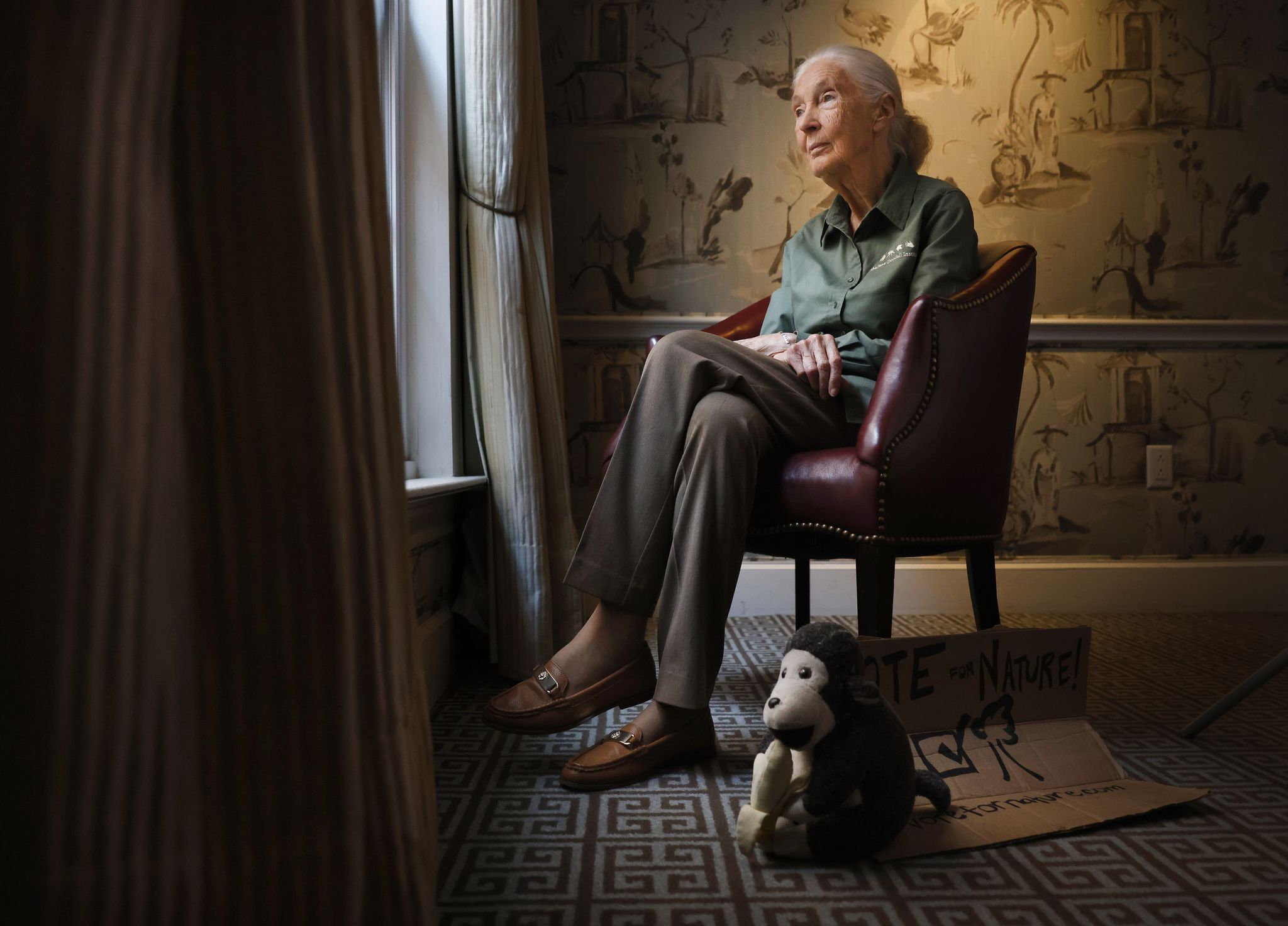 Jane Good Rip Jane Goodall, chimpanzee researcher, environmental advocate, has died