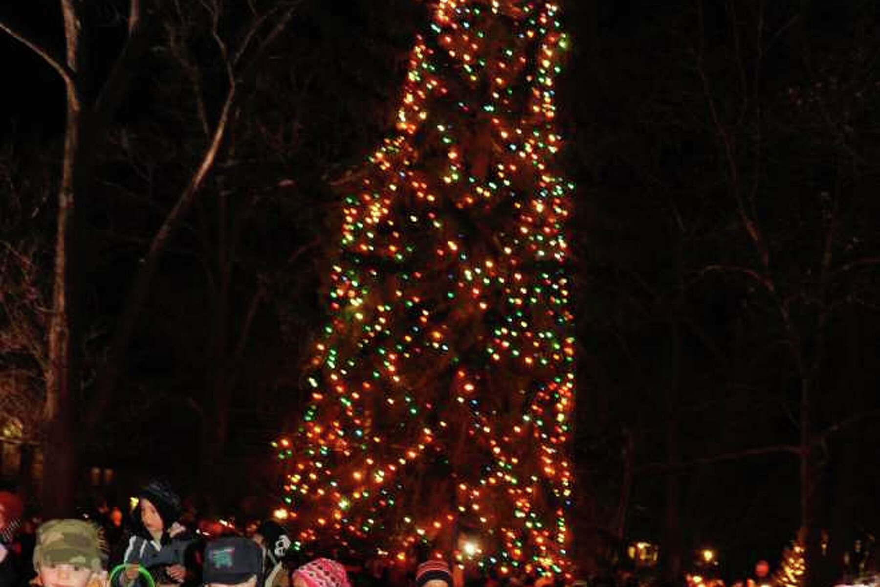 Fairfield Christmas Tree Lighting Ca 2022 Westport Won't 'Bough' To Official Christmas Tree Tradition