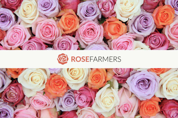 Here’s how to get 2 dozen long-stem roses for only $25
