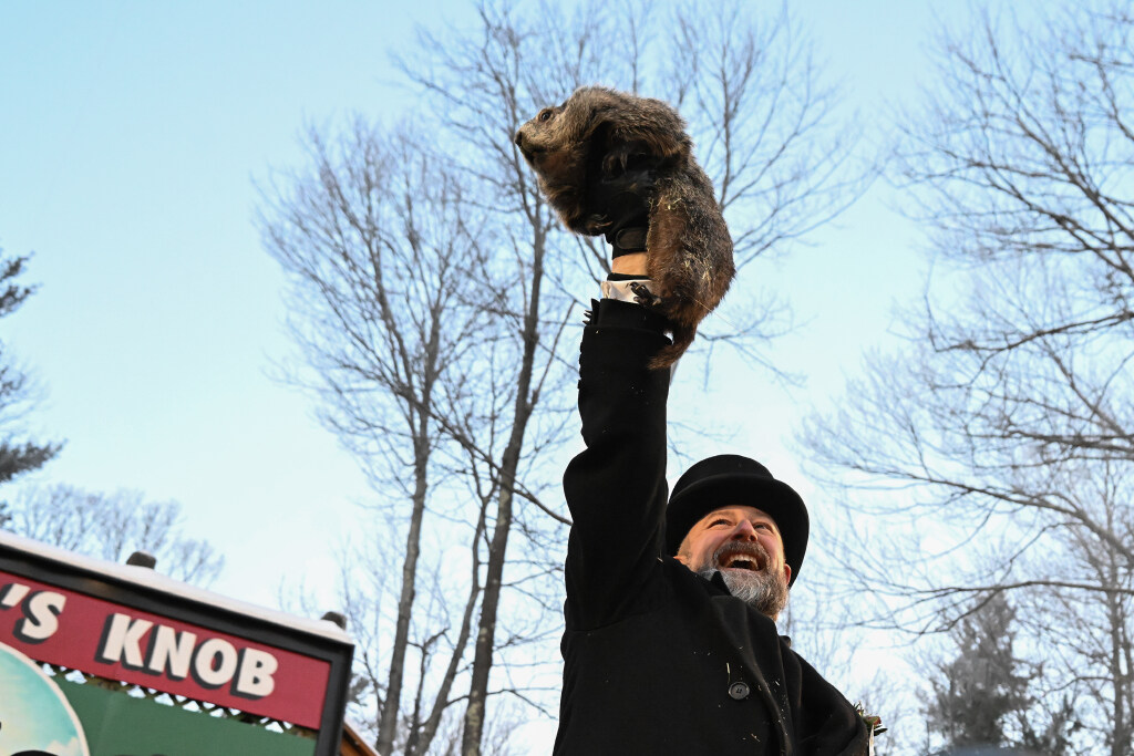 Punxsutawney Phil's shadow? Here's what real Texas forecasts say