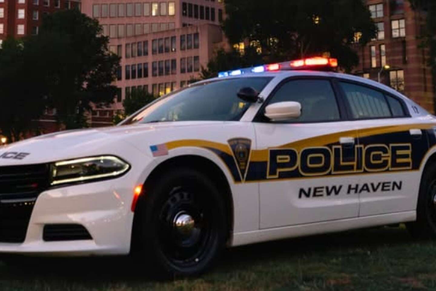 State Police New Haven Ct32801850