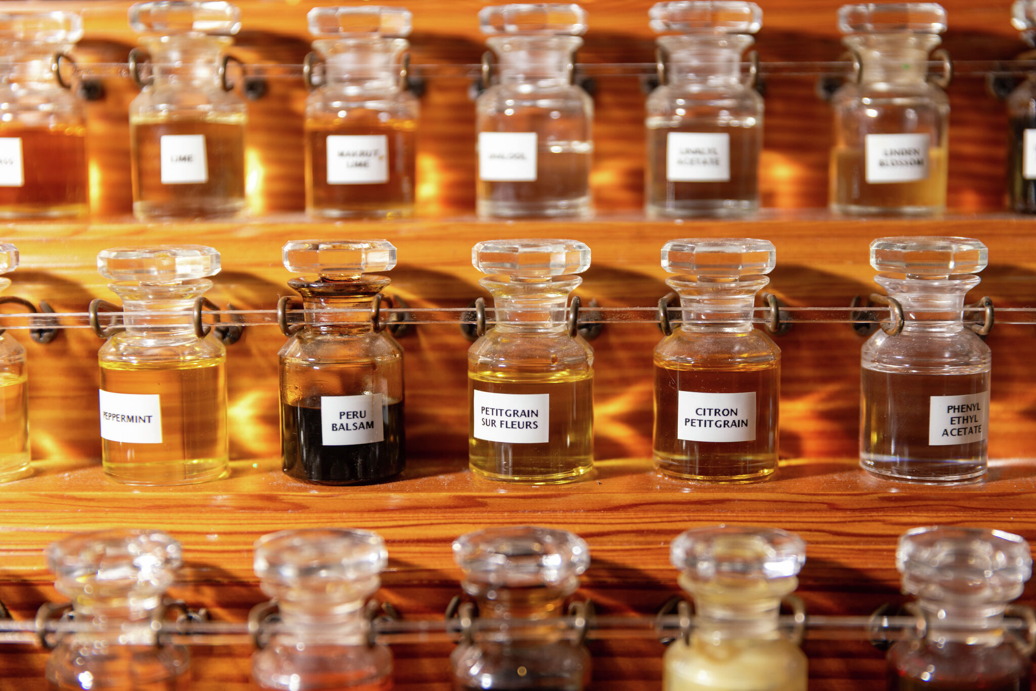 The hidden Berkeley museum that brings visitors to tears