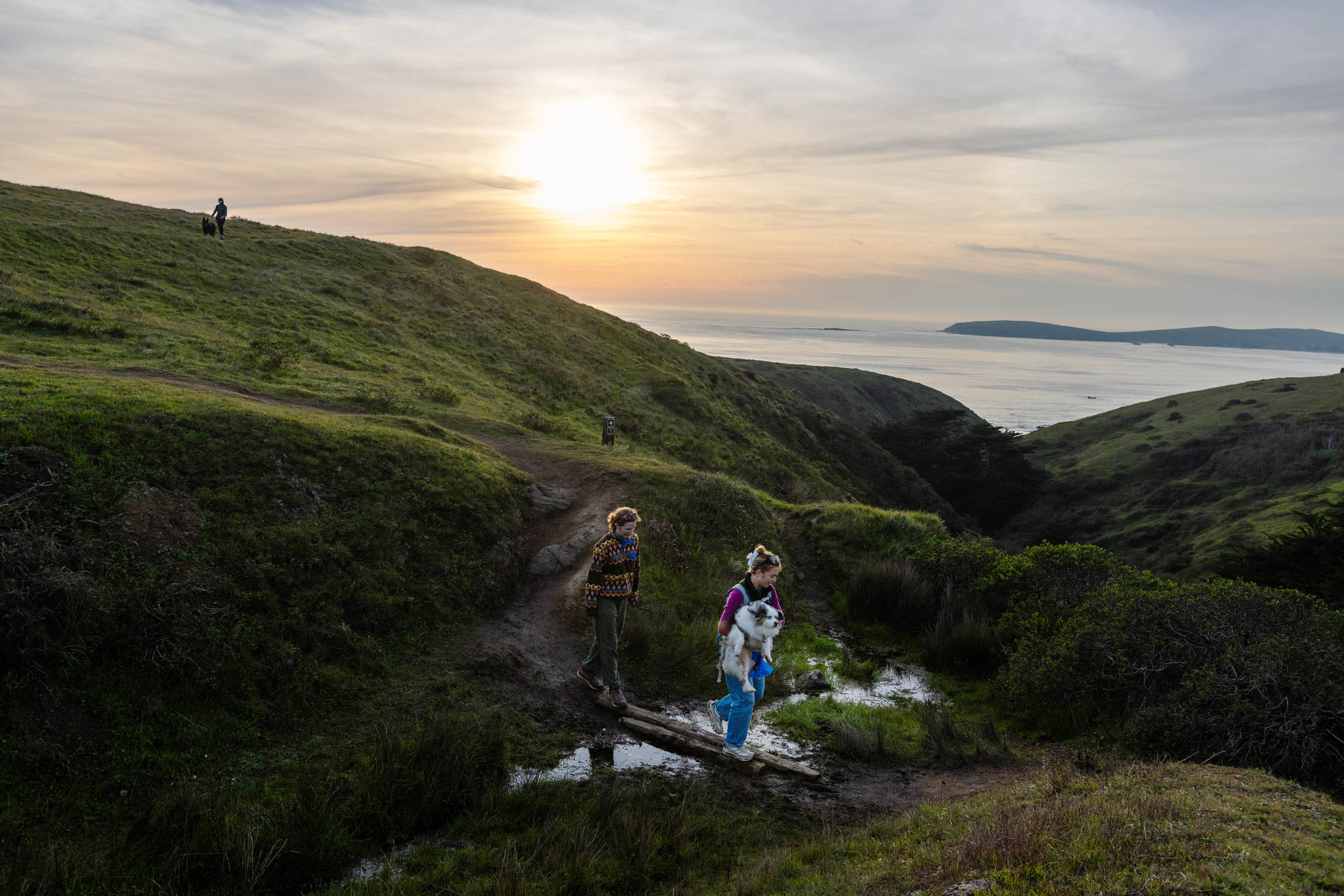 Calif. nonprofit opens coastal Bay Area preserve. Neighbors hate it.