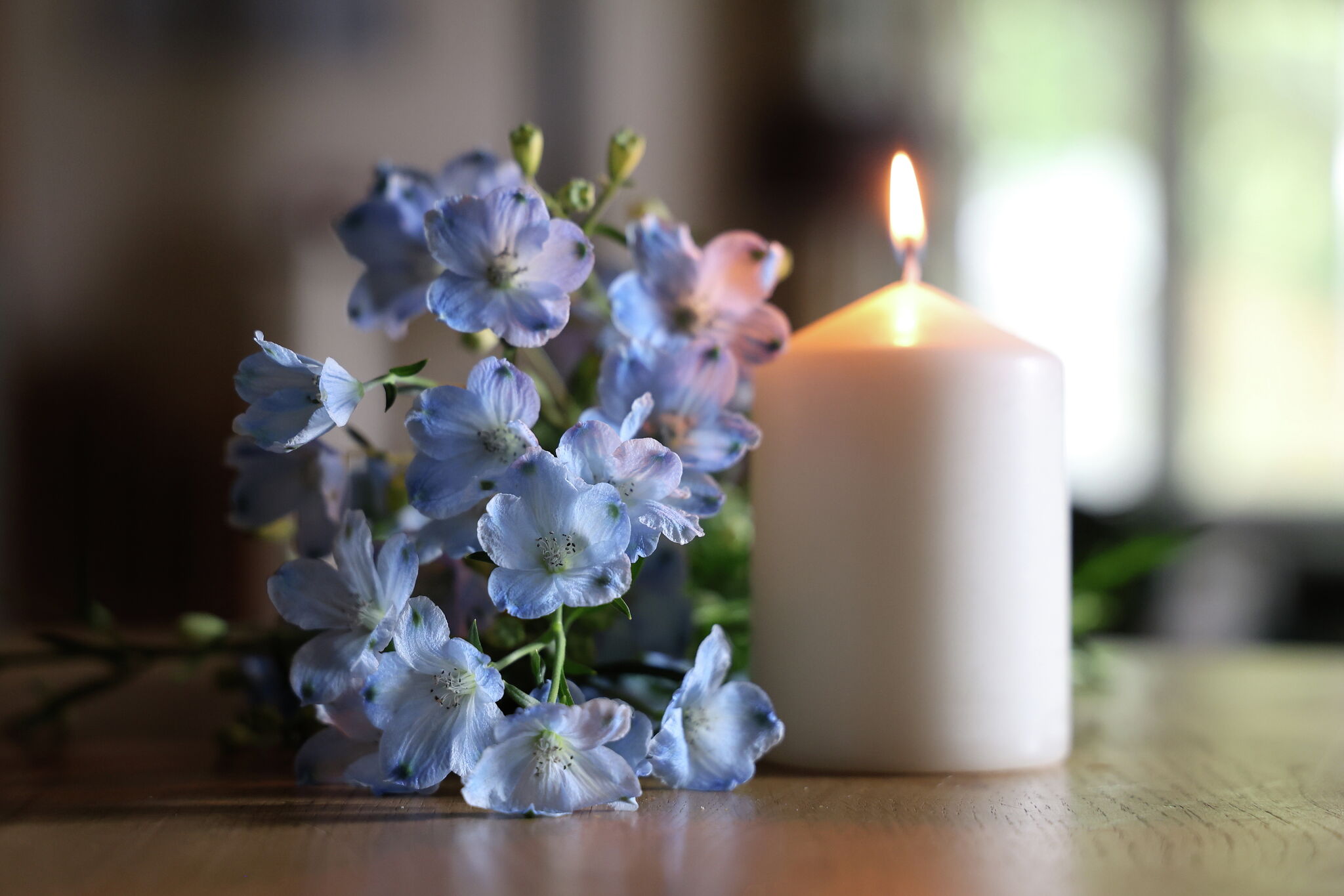 NATIONAL PARK FEE FREE DAYS 2026 visual data 8