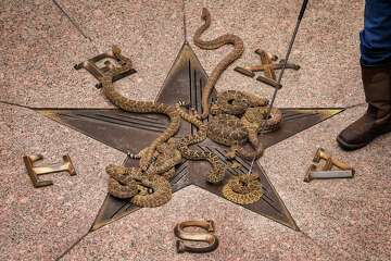 Sweetwater Rattlesnake Round-Up promoted at Texas Capitol