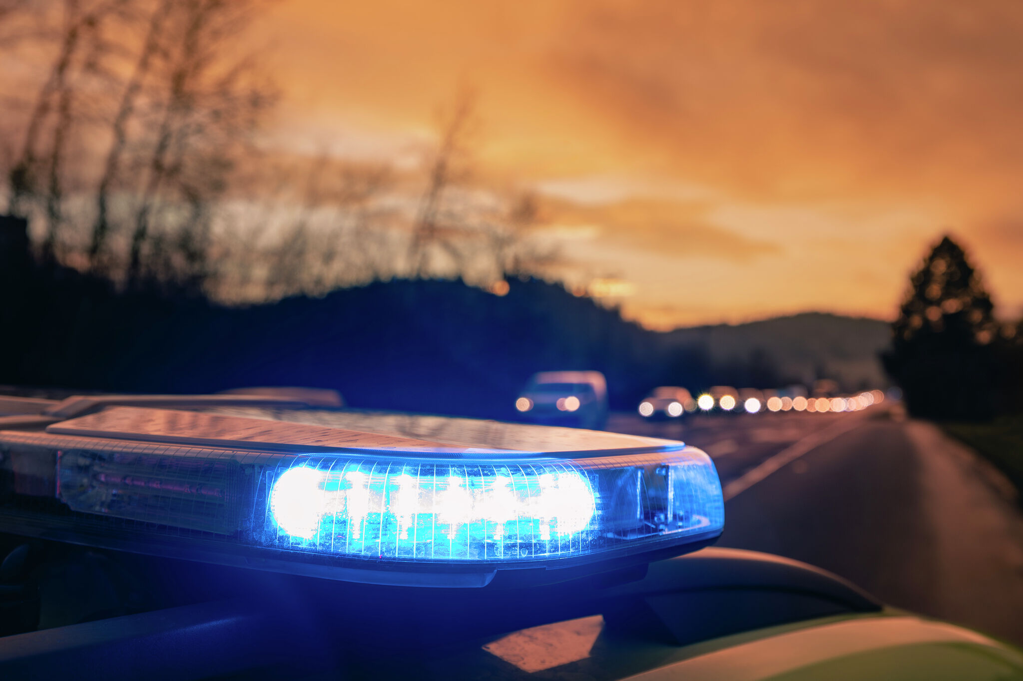 NATIONAL PARK FEE FREE DAYS 2026 visual data 7