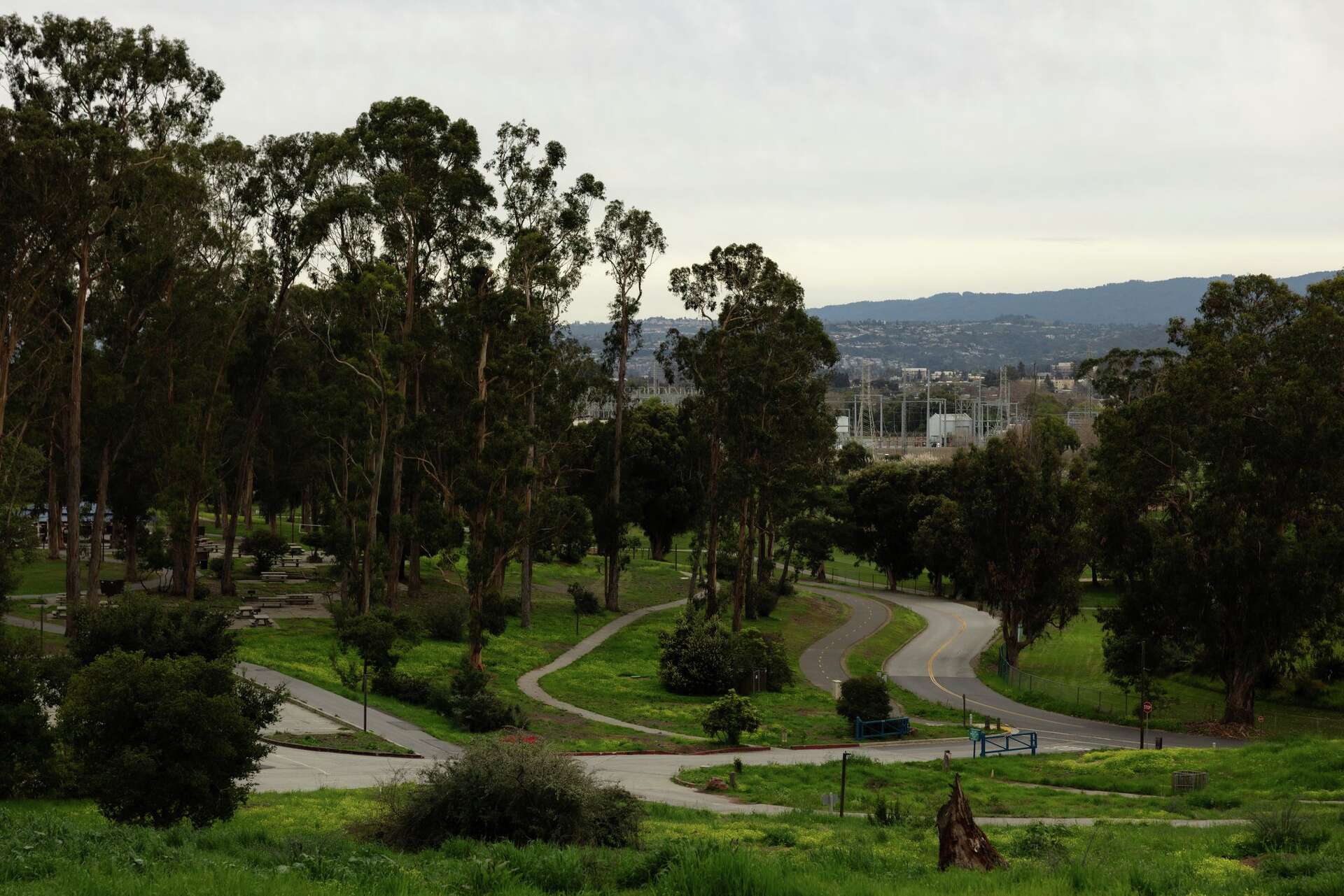 Planes, a hidden zoo and gunfire: Bay Area park is one of a kind