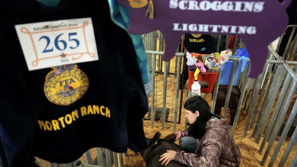 Storm Scroggins, a senior at Morton Ranch HS, sits with her pig named Lighting, before she competes in the swine show at the Katy ISD Livestock Show in Katy Thursday, Feb. 12, 2026.