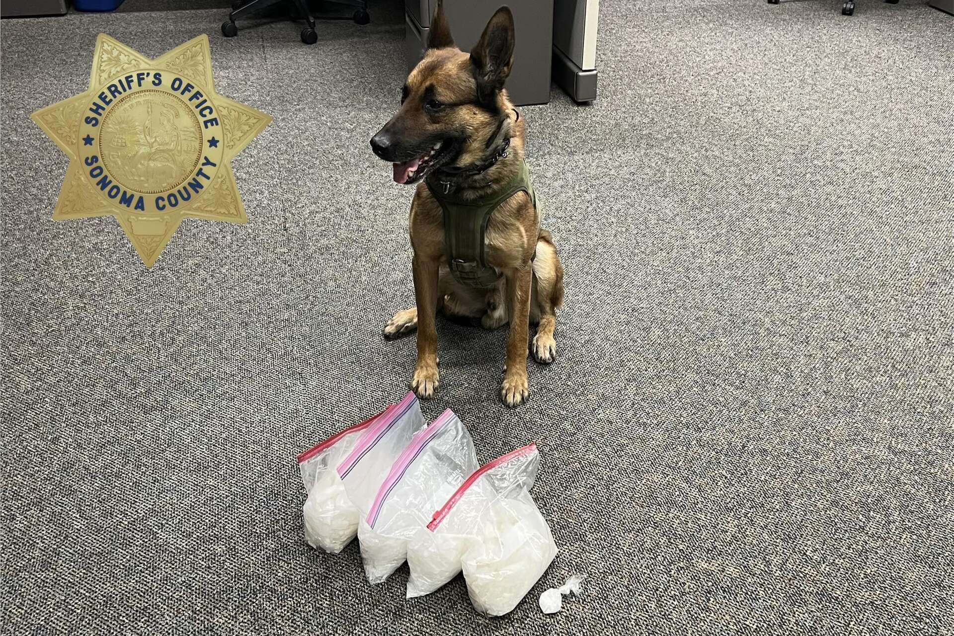Bay Area deputies: 2 busted after dog finds 9 pounds of suspected meth