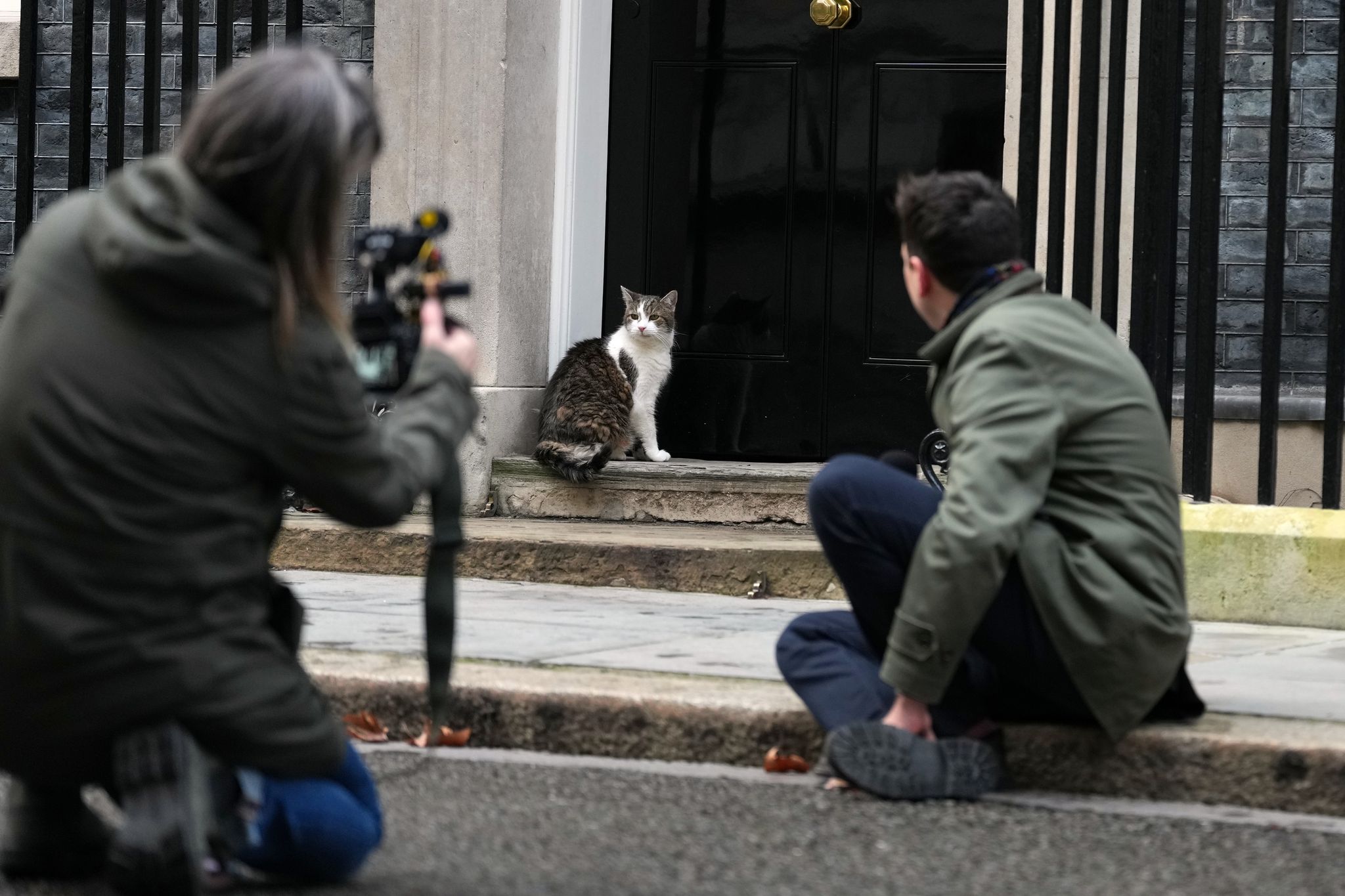 ‘First feline’ Larry marks 15 years as Britain’s political top cat