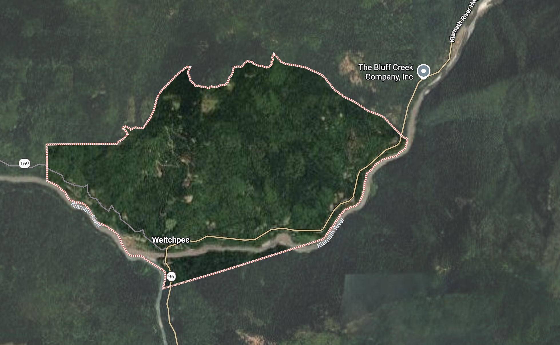 California mental health advocate killed by her husband, officials say