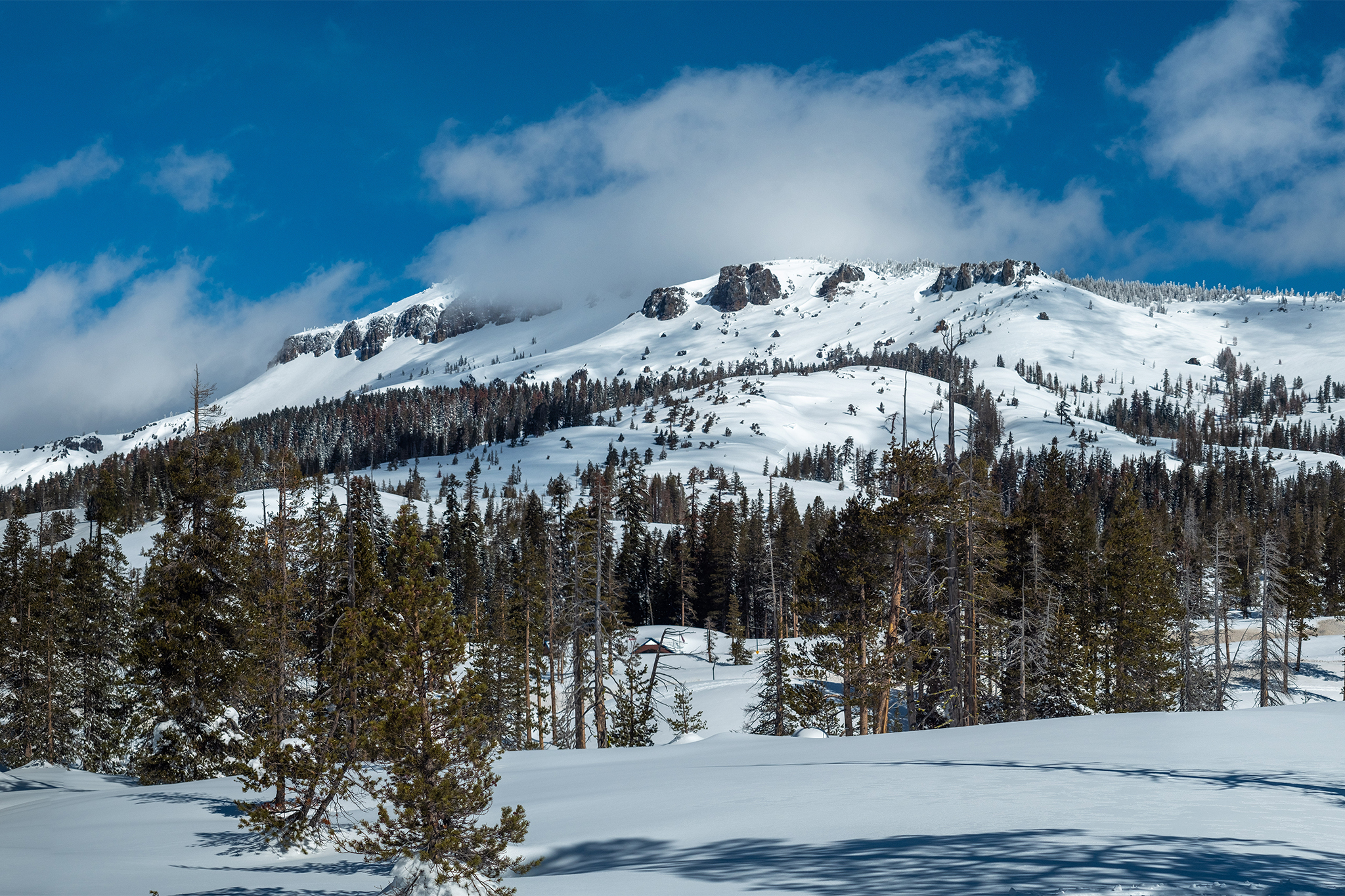 Guiding company releases statement after 16 skiers caught in Tahoe avalanche
