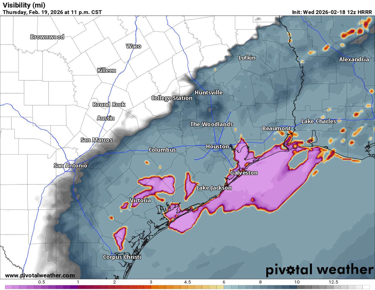 This map of Southeast Texas shows where dense sea fog (pink) could develop late Thursday.