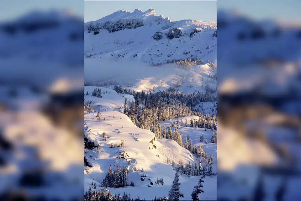 8 Người Trong Nhóm Tour Chết Trong Trận Lở Tuyết Tahoe