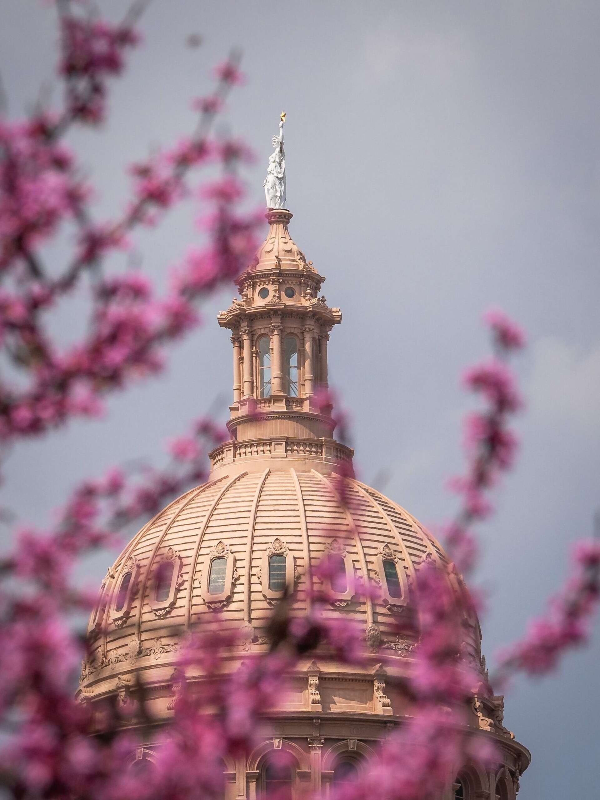 Will spring in Texas be warm and rainy? What Farmers’ Almanac predicts