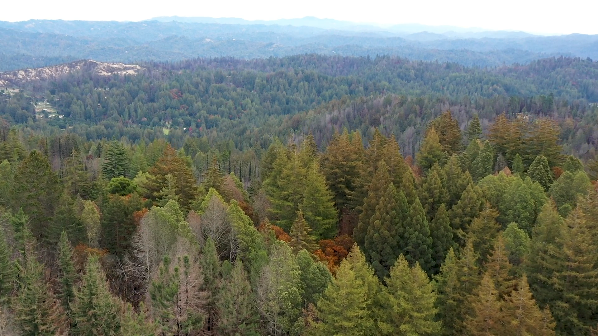 Purchase of contentious property expands California's oldest state park