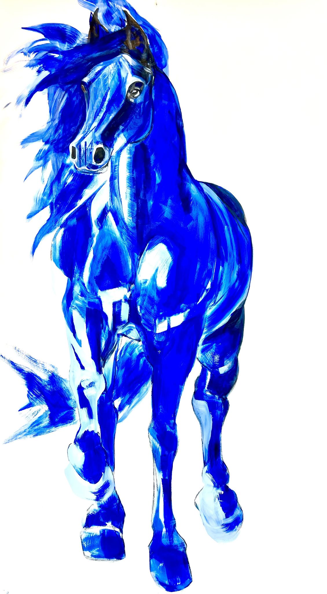 Lean into the Year of the Horse in Dallas with this exhibition at