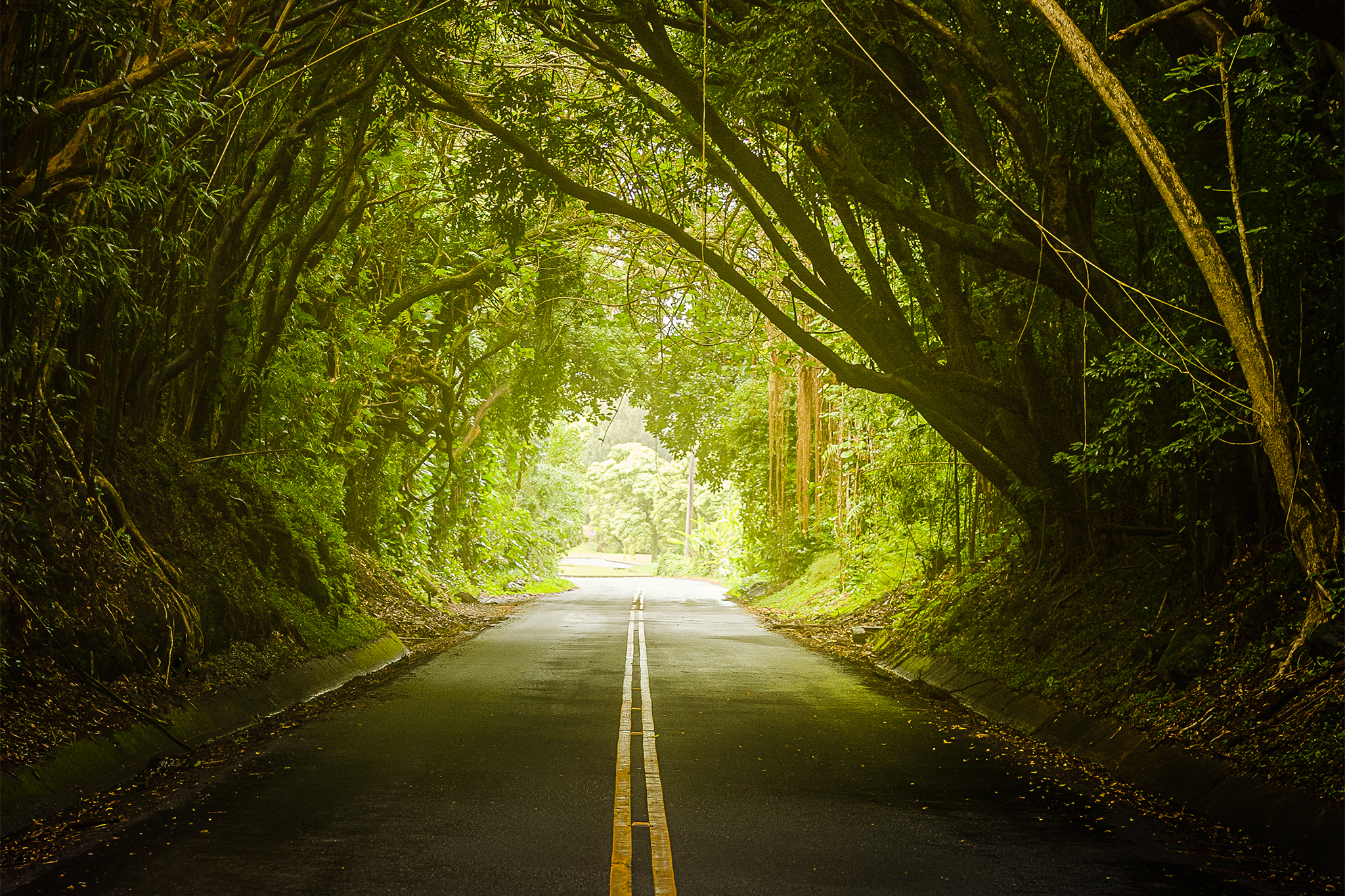 The deadly Hawaii landmark haunted by murder and crime