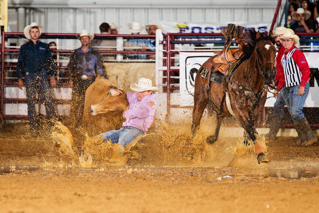 Cancelan el rodeo en la Feria Estatal de Texas; público y jinetes ...