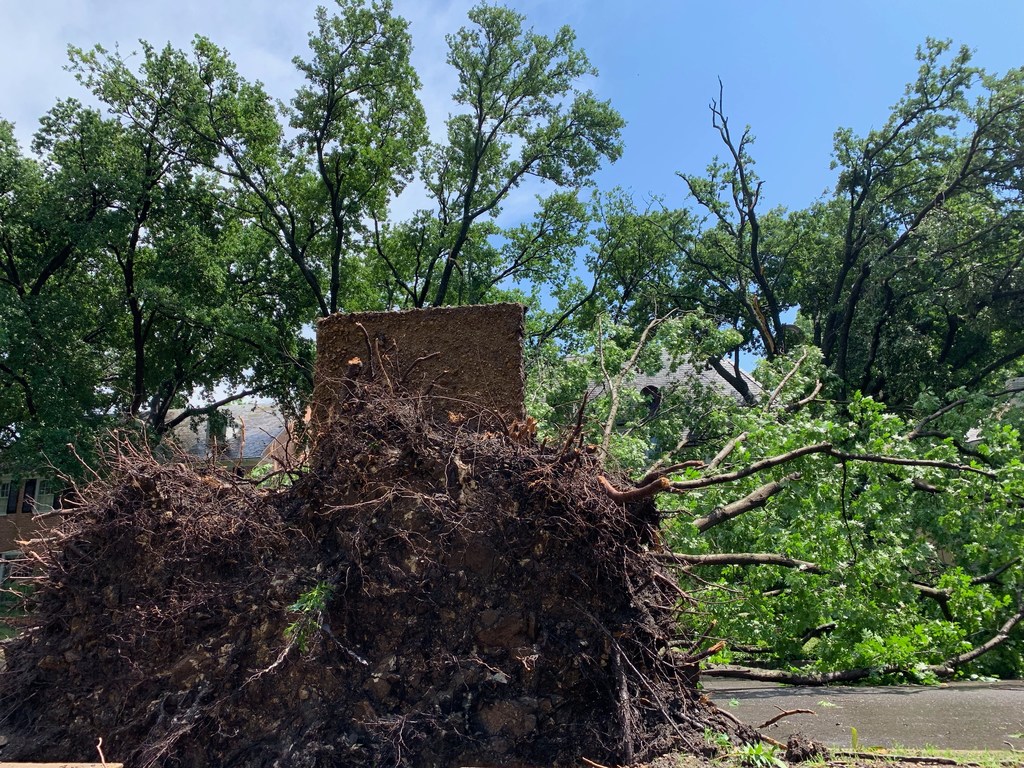 Thousands still without power Monday after powerful storms rake Dallas ...