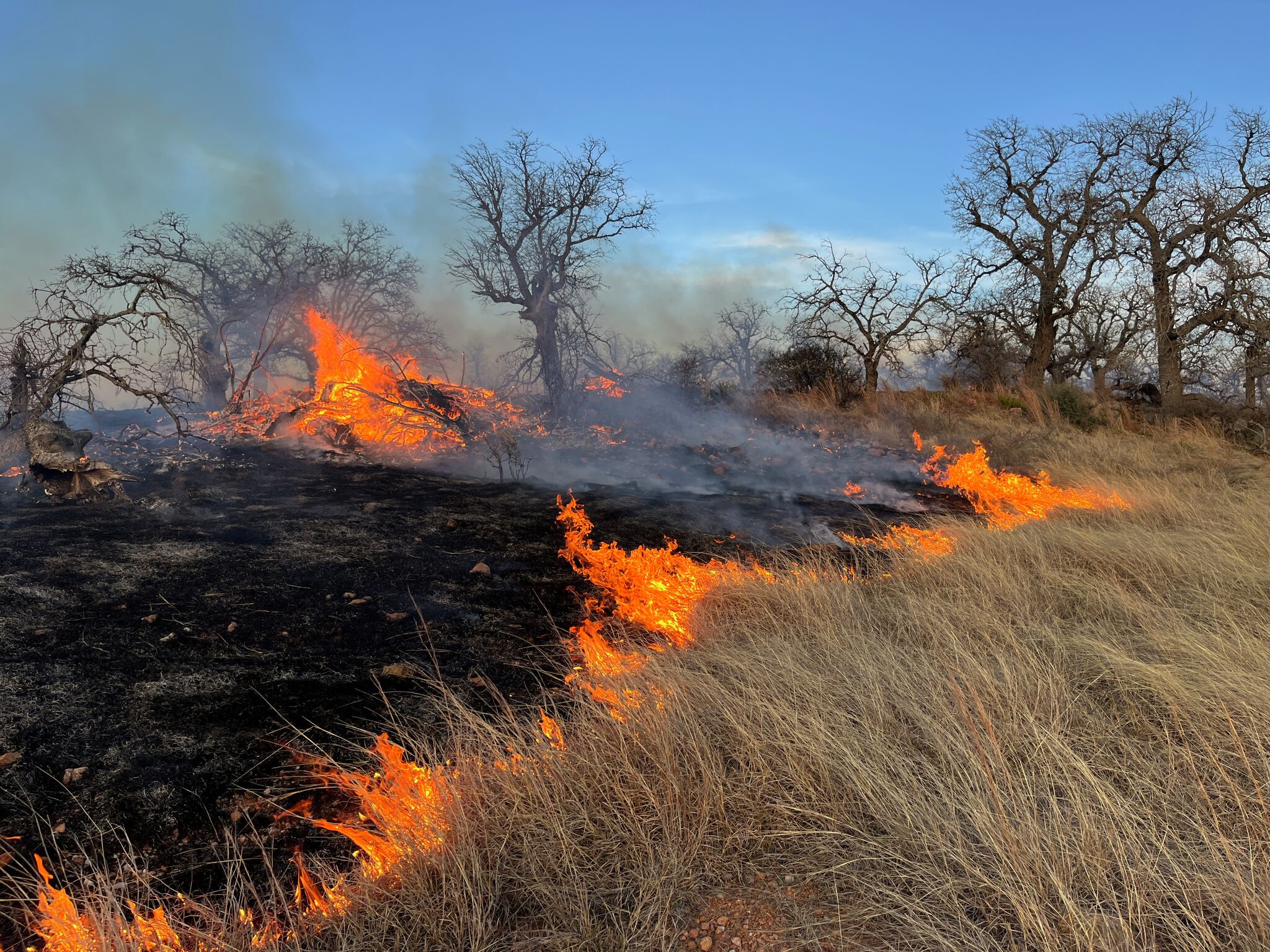 As wildfires burn across Texas, where is the largest near Austin?
