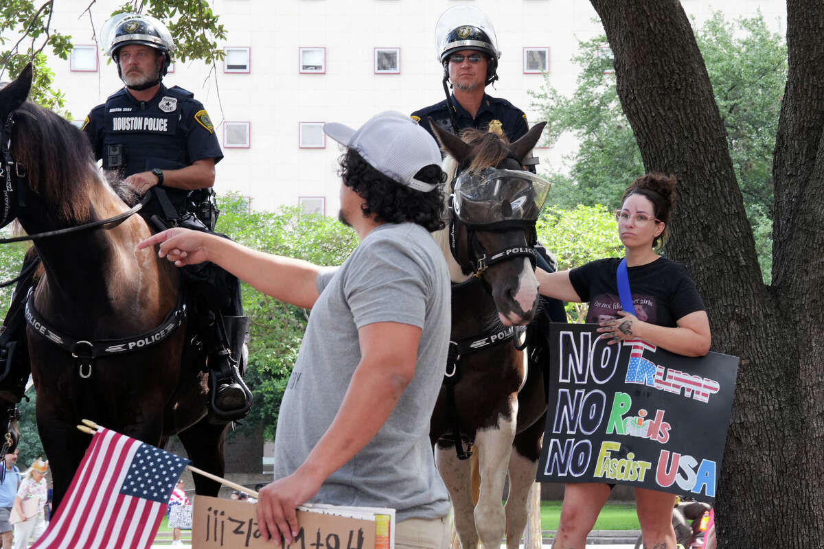 A woman pets one of the horses lined up around the perimeter of City Hall in Houston for the 'No Kings' nationwide protest against President Donald Trump, ICE and the military parade on Saturday, June 14, 2025.