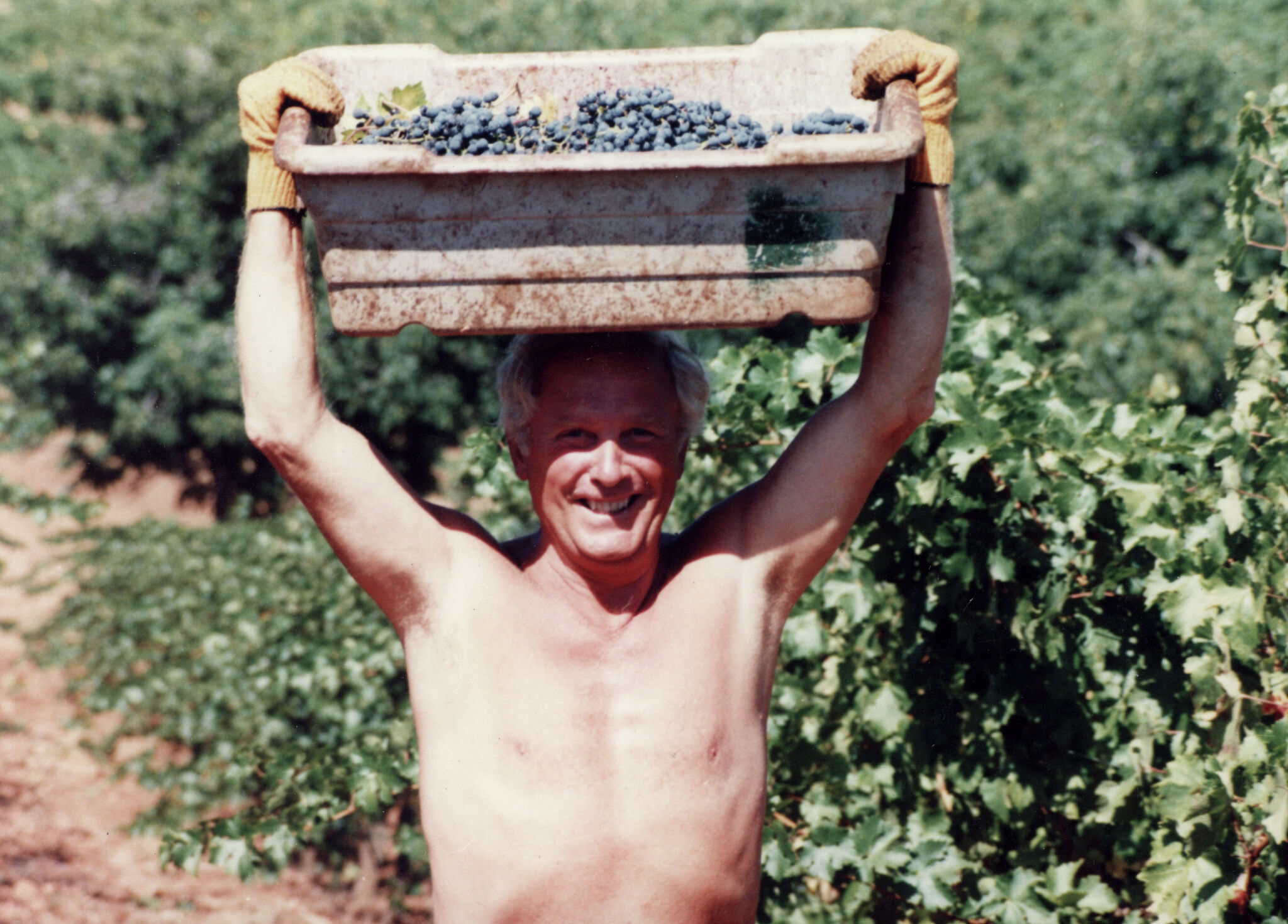 Dan Duckhorn, winemaker who sparked Merlot craze, has died
