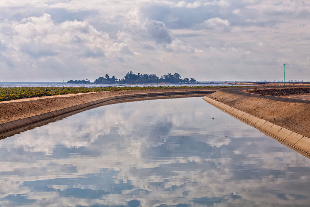 'Explosion' of invasive species threatens Calif.'s Central Valley