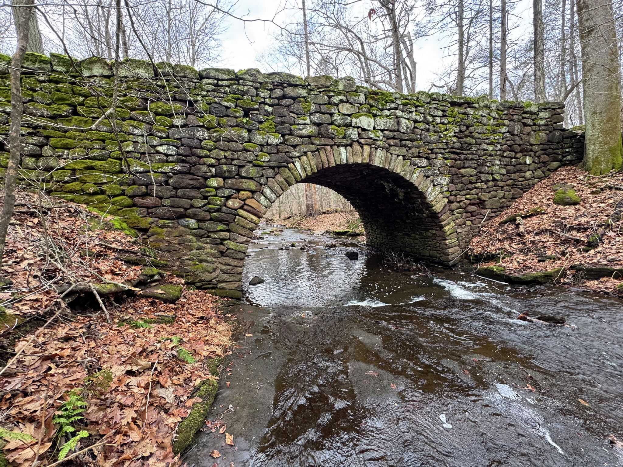 Two CT state parks closed after parking lots reach capacity, state says