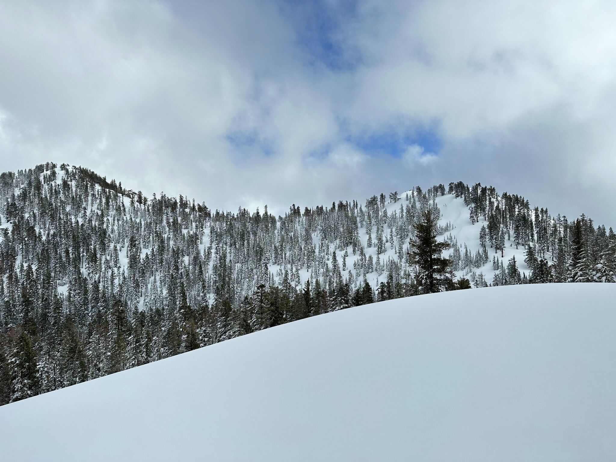 Report criticizes guides’ decision in deadly Tahoe avalanche