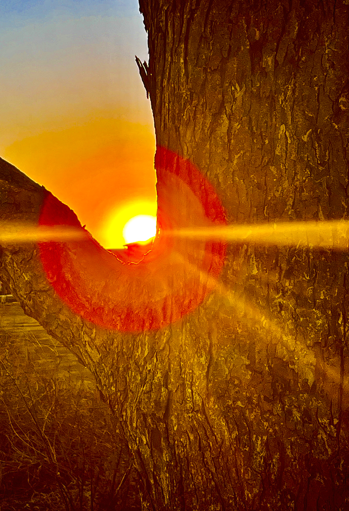 Cotter scores shootout winner after Brown forces OT in Devils' 4-3 win ...