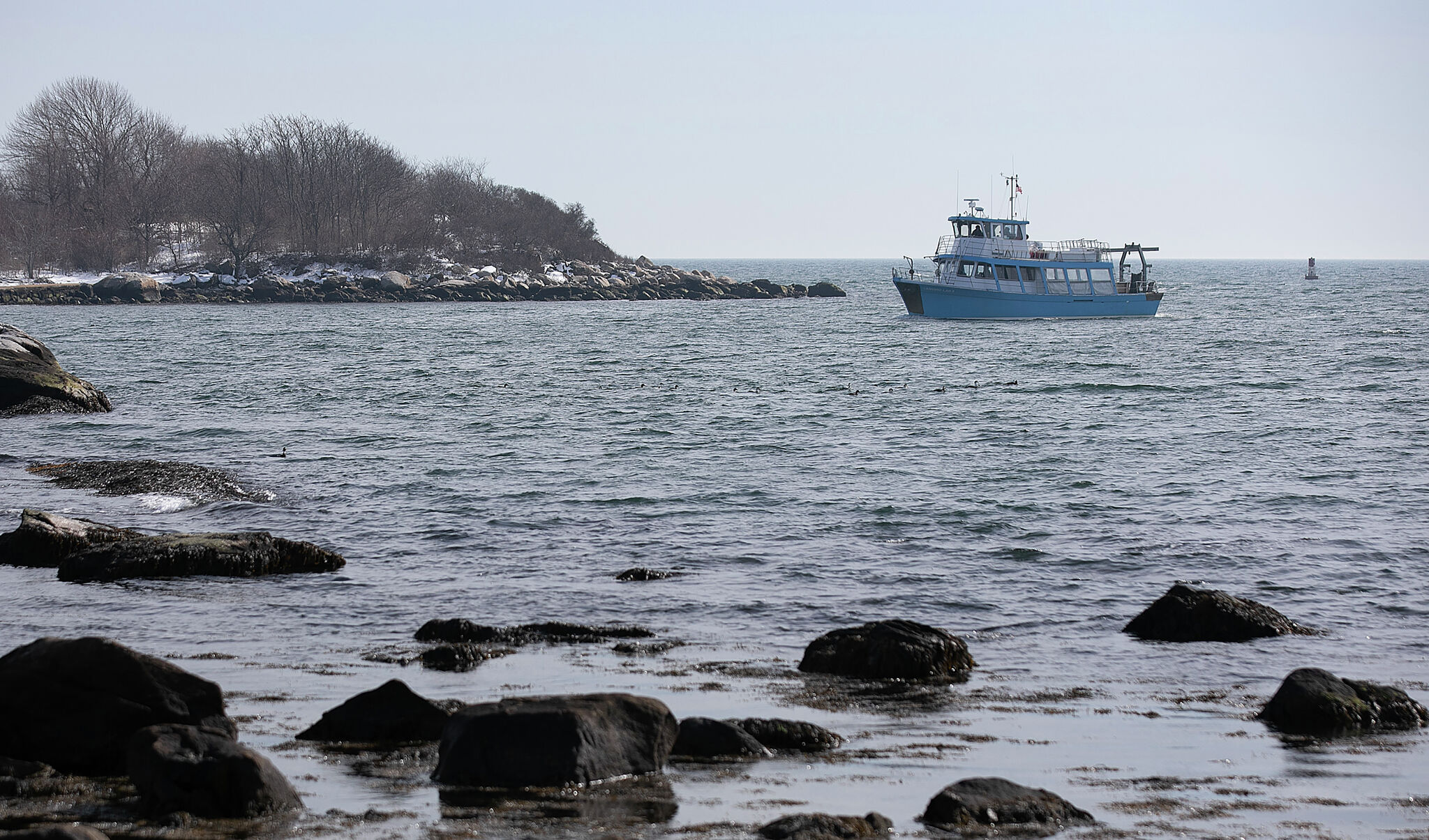 Rare flesh-eating bacteria infection case reported in Connecticut