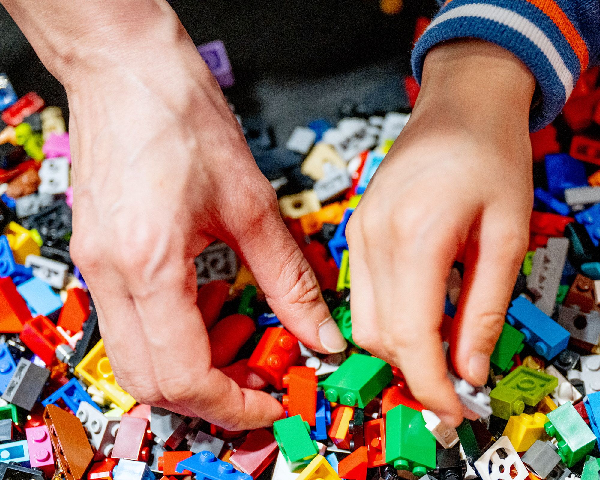 Jacksonville museum names 'Building with Brick' Lego contest winners