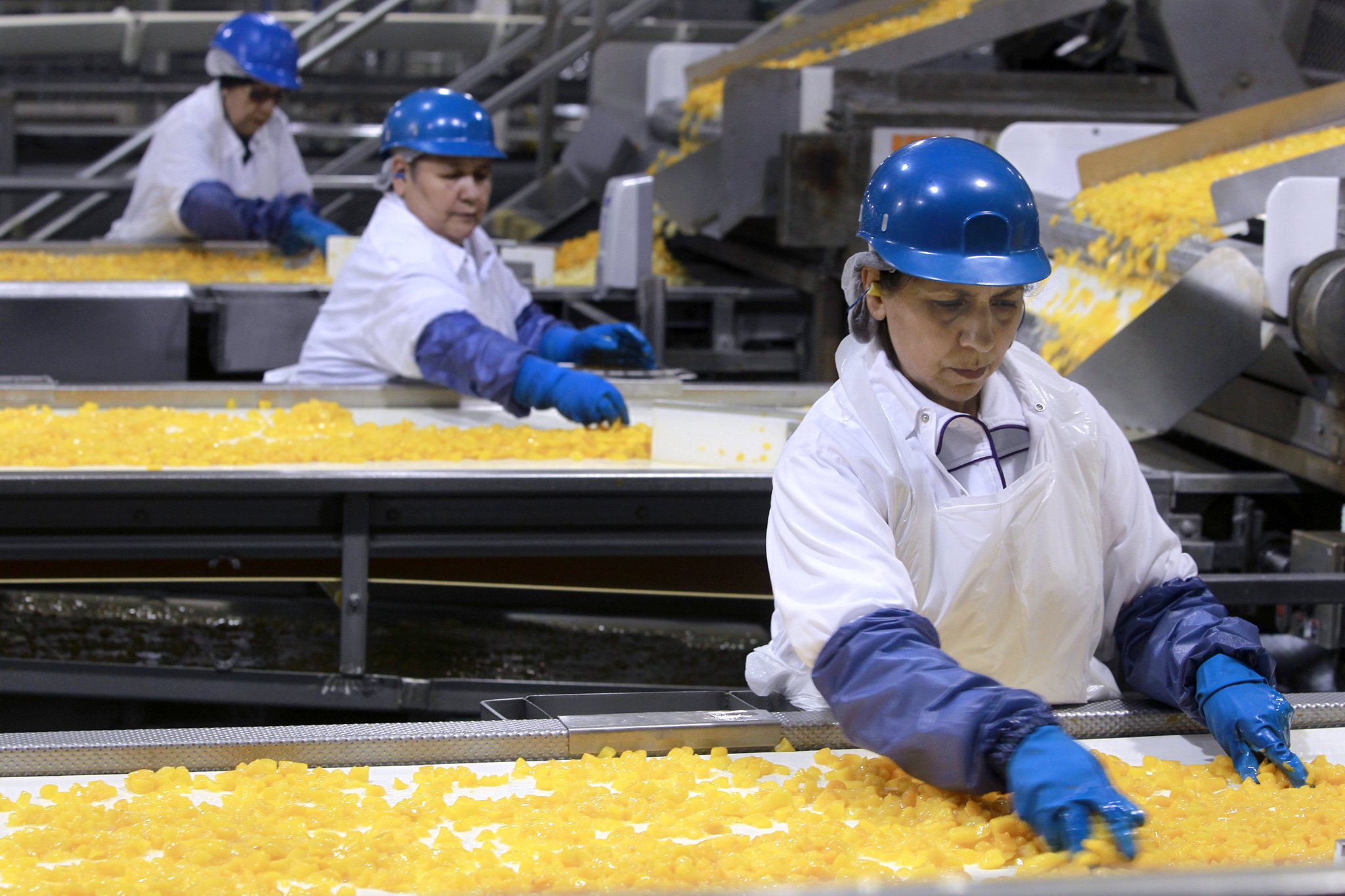 Del Monte bankruptcy leaves two Calif. plants shuttered and $550M in farm losses